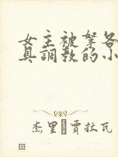 女主被拿各种刑具调教的小说封面