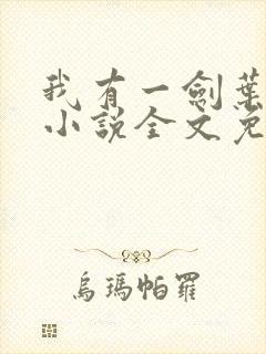 我有一剑叶观 小说全文免费阅读封面