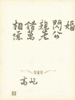 相错亲闪婚嫁给亿万老公