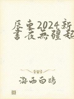 辰东2024新书夜无疆起点