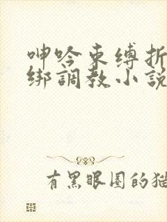 呻吟束缚折磨捆绑调教小说