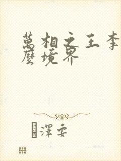 万相之王李洛什么境界