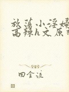 放荡小淫妇h文高辣h文原神