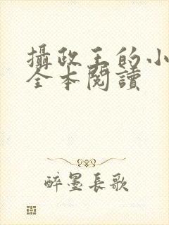 摄政王的小闲妻全本阅读