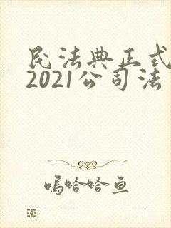 民法典正式全文2021公司法封面