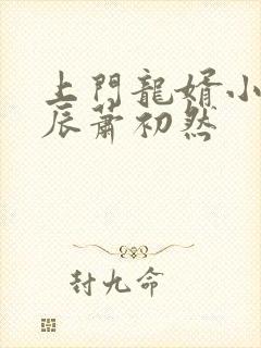 上门龙婿小说叶辰萧初然