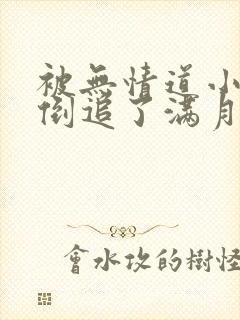 被无情道小师弟倒追了满月一封面