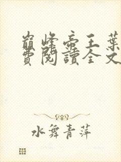巅峰帝王叶离免费阅读全文无弹窗