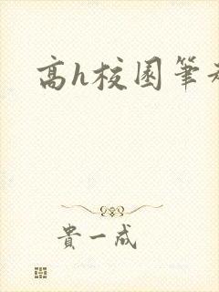 高h校园笔趣阁封面