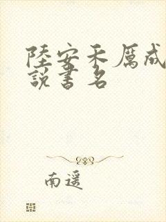 陆安禾厉成扉小说书名