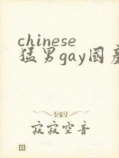 chinese猛男gay国产网站