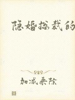隐婚总裁的娇妻