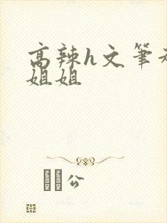 高辣h文笔趣阁姐姐