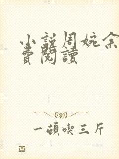 小说周婉余年免费阅读封面
