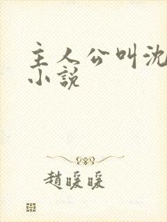 主人公叫沈晴的小说