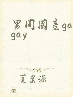 男同国产gaygay