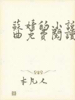 苏婧的小说三部曲免费阅读封面