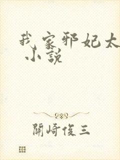 我家邪妃太嚣张 小说封面