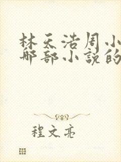林天浩周小胖是哪部小说的名字