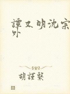 谭又明沈宗年番外封面