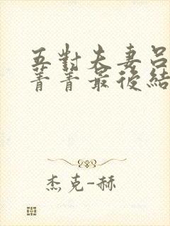 五对夫妻吕哥和菁菁最后结局