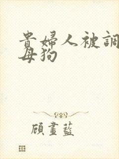 贵妇人被调教成母狗