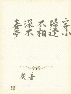 春深不归客,清梦不相逢小说阅读封面