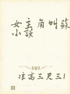 女主角叫苏瑜的小说