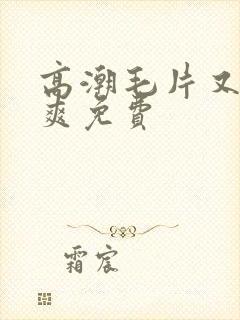 高潮毛片又色又爽免费