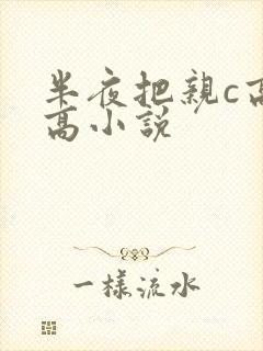 半夜把亲c高潮高小说
