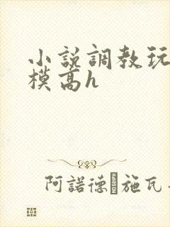小说调教玩弄嫩模高h封面