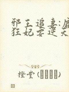 邪王追妻:废材狂妃要逆天