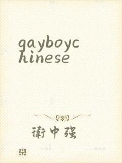 gayboychinese