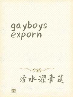 gayboysexporn