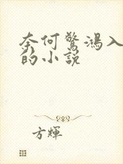 奈何惊鸿入我心的小说