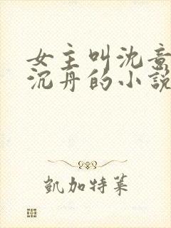 女主叫沈意欢陆沉舟的小说封面