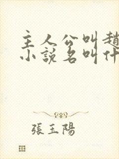 主人公叫赵旭的小说名叫什么封面