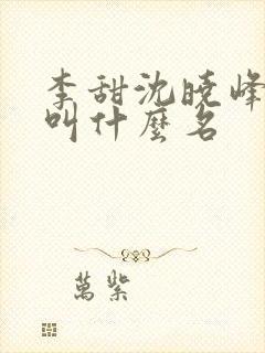 李甜沈晓峰小说叫什么名