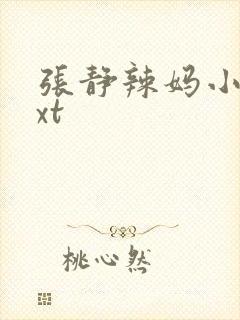 张静辣妈小说txt