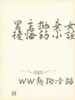 男主抛弃女主又后悔的小说封面