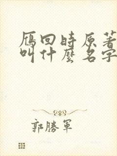 雁回时原著小说叫什么名字封面