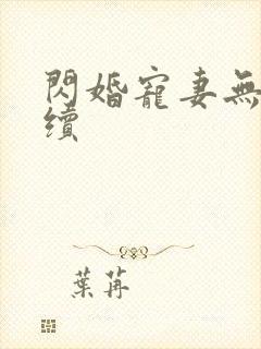闪婚宠妻无度后续