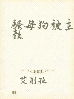 骚母狗被主人调教