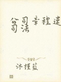 公司章程违反公司法