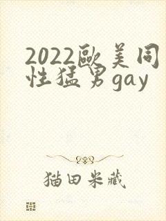 2022欧美同性猛男gay封面