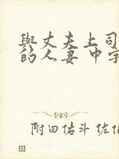 与丈夫上司出轨的人妻 中字封面