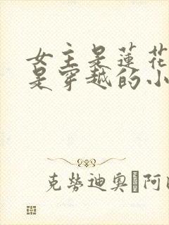 女主是莲花化身是穿越的小说封面