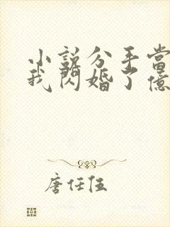 小说分手当天,我闪婚了亿万富豪封面