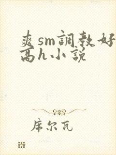 爽sm调教好舒高h小说