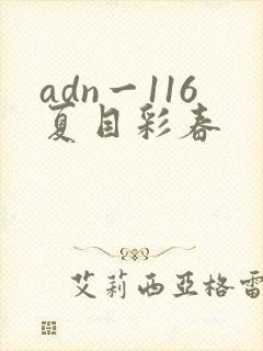 adn一116夏目彩春